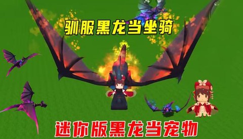 迷你世界上怎么驯服龙