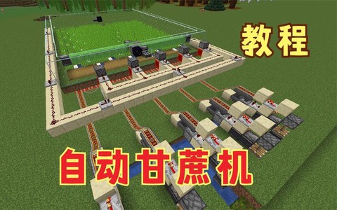 我的世界自动甘蔗机怎么做