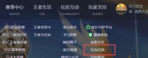 王者荣耀cdkey是什么[图2]