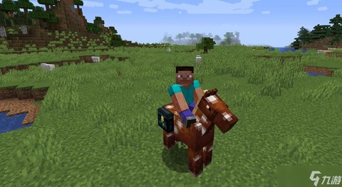 我的世界手游怎么骑马[图2]