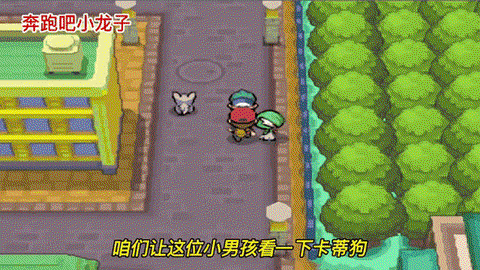 口袋妖怪怎么看亲密度[图1]