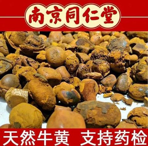 九阴真经牛黄有什么用