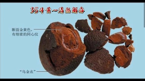 九阴真经牛黄有什么用[图1]