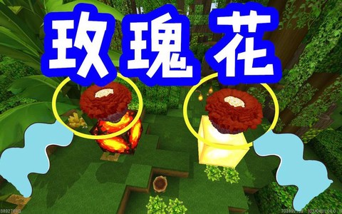 迷你世界花有什么用