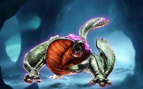 怪物猎人毒怪龙弱什么[图1]