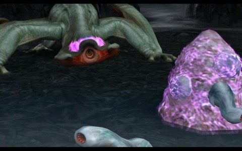 怪物猎人毒怪龙弱什么[图2]