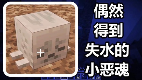 我的世界恶魂怎么驯服