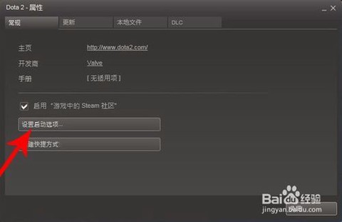 dota2怎么启动国服[图2]