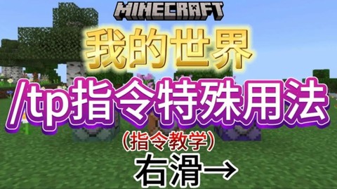 我的世界怎么把别人tp过来[图2]
