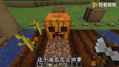 我的世界如何种南瓜[图1]