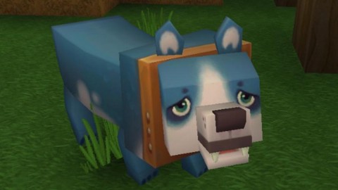 迷你世界狗怎么长大[图2]