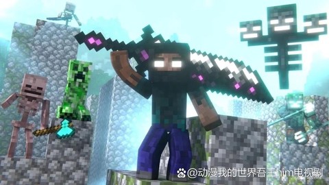 我的世界him是什么[图2]