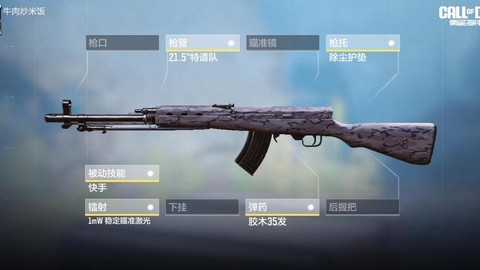 使命召唤online用什么枪好