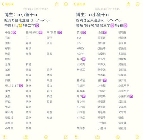 绝地求生叫什么名字[图1]