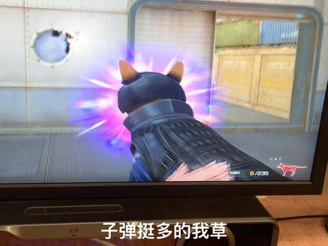 穿越火线猫枪怎么得[图1]